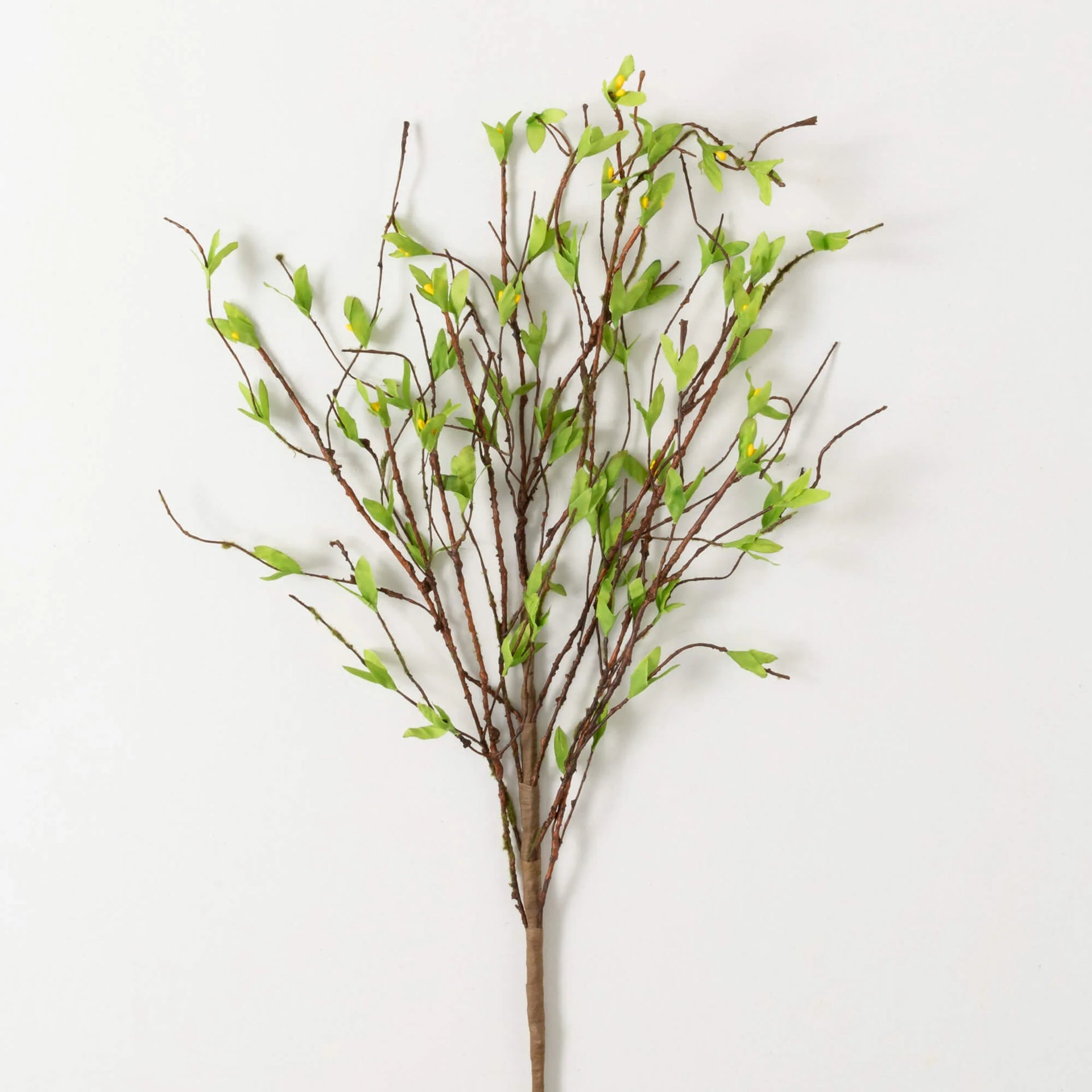 Long Willow Twig Spray
