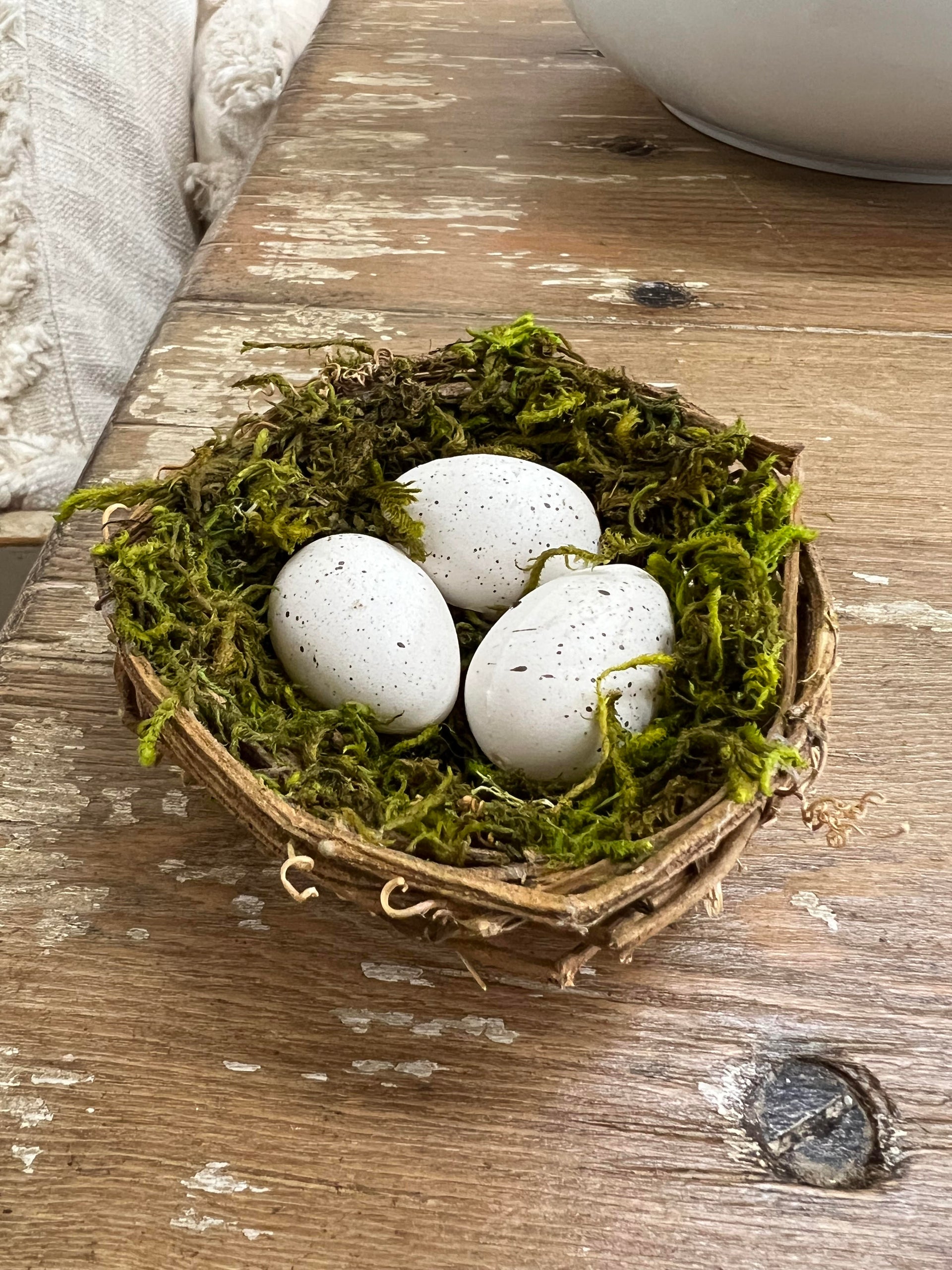 Nest with Eggs