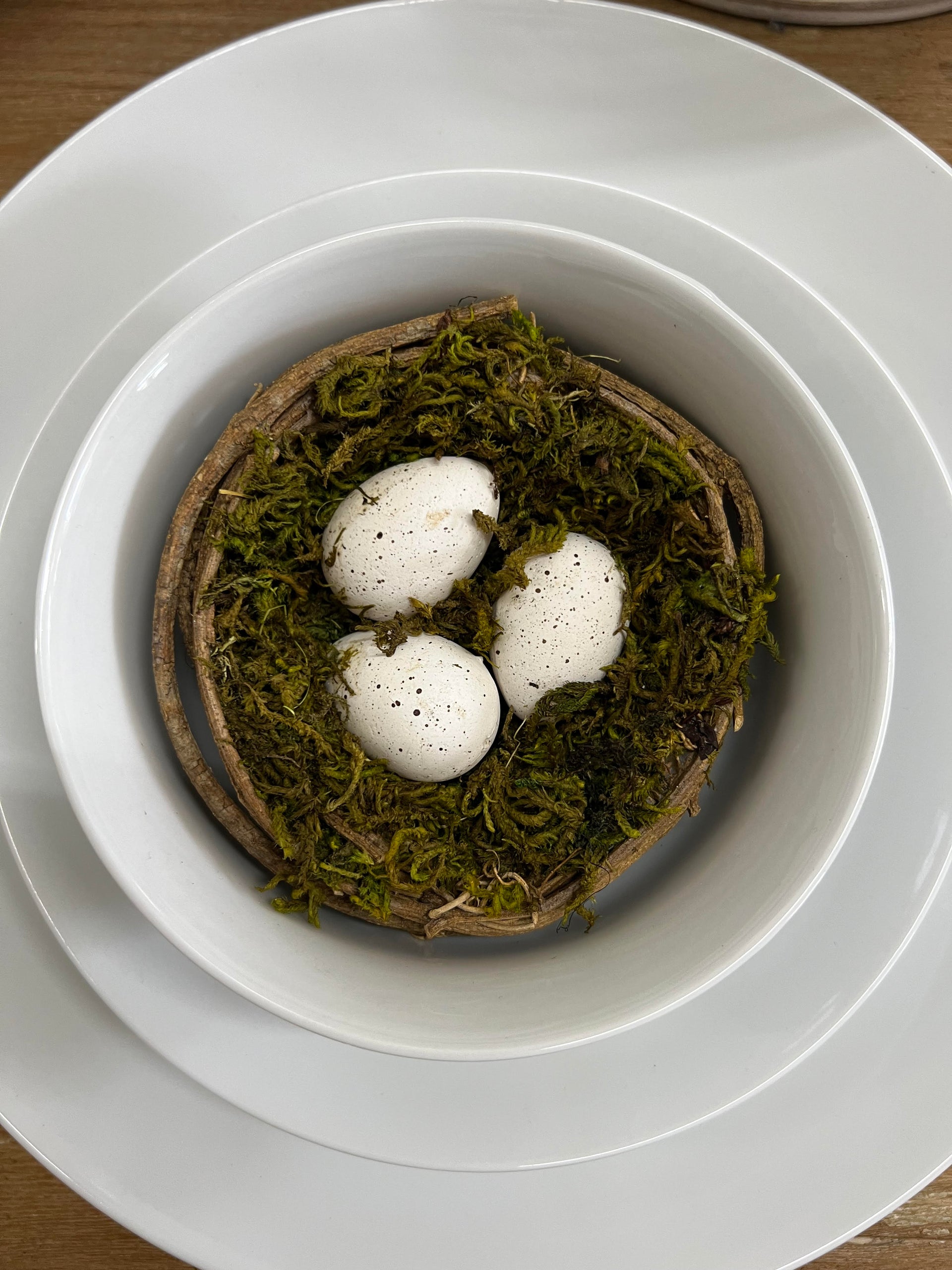 Nest with Eggs